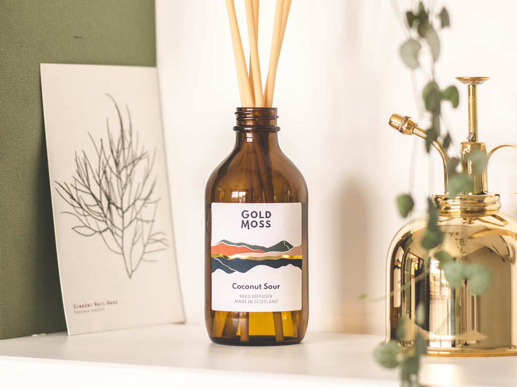 Coconut Sour reed diffuser by Gold Moss. Hand poured in the Scottish Highlands. Landscape inspired design.